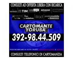 ´¨`*•. Cartomante Yorubà .•*´¨`