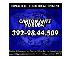 STUDIO DI CARTOMANZIA YORUBA'