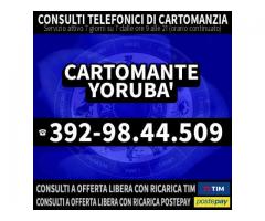 Ⓒⓐⓡⓣⓞⓜⓐⓝⓣⓔ Ⓨⓞⓡⓤⓑⓐ' Consulti telefonici