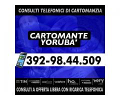(¯`·._.··¸.-~*´¨¯¨`*·~-.,-(_ Cartomante Yoruba' _)-,.-~*´¨¯¨`*·~-.¸··._.·´¯)