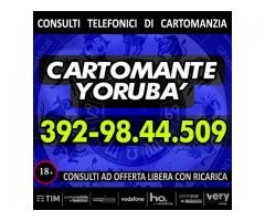 il cartomante yoruba