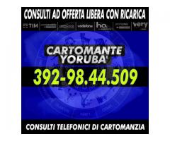 il cartomante yoruba