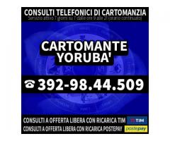 ≼≼≼≼≼≼ CARTOMANTE YORUBA' ≽≽≽≽≽≽