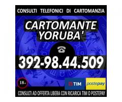 ≼≼≼≼≼≼ CARTOMANTE YORUBA' ≽≽≽≽≽≽