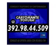 ≼≼≼≼≼≼ CARTOMANTE YORUBA' ≽≽≽≽≽≽